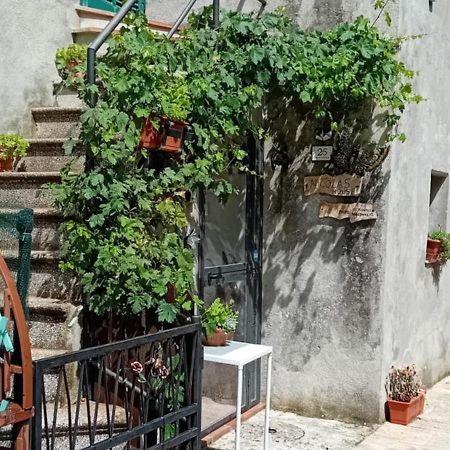 Nicolas House Campiglia d'Orcia ภายนอก รูปภาพ