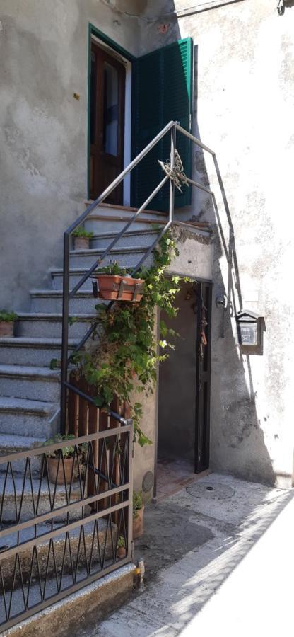 Nicolas House Campiglia d'Orcia ภายนอก รูปภาพ